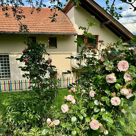 Sarajevo Flower Garden Vogosca Exterior photo