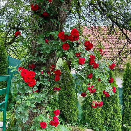 Sarajevo Flower Garden Vogosca Exterior photo