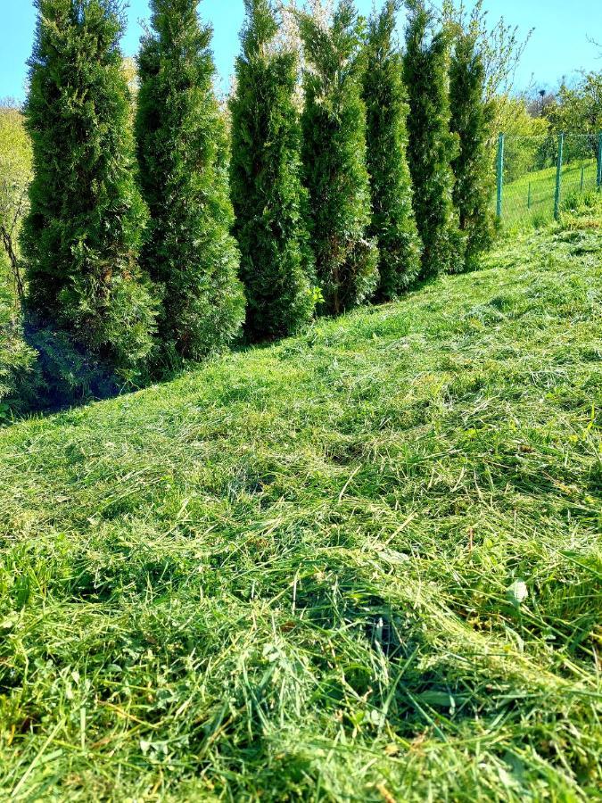 Sarajevo Flower Garden بيت للعطل