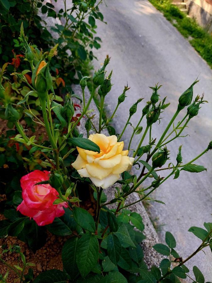 بيت للعطل Sarajevo Flower Garden