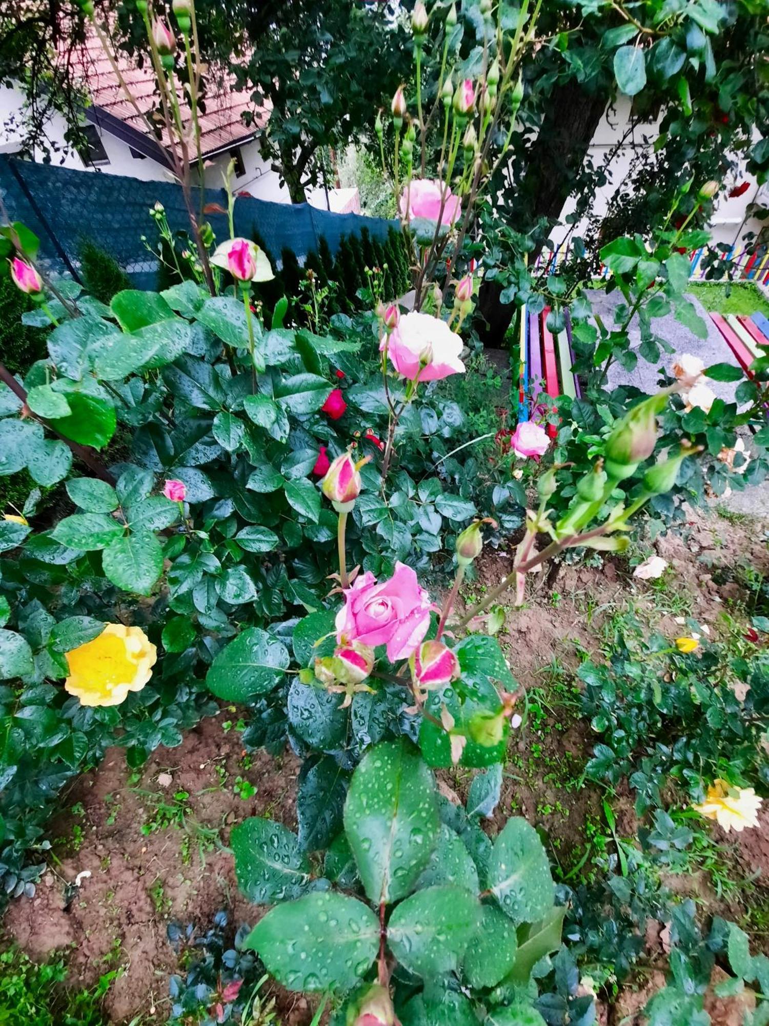 Sarajevo Flower Garden بيت للعطل