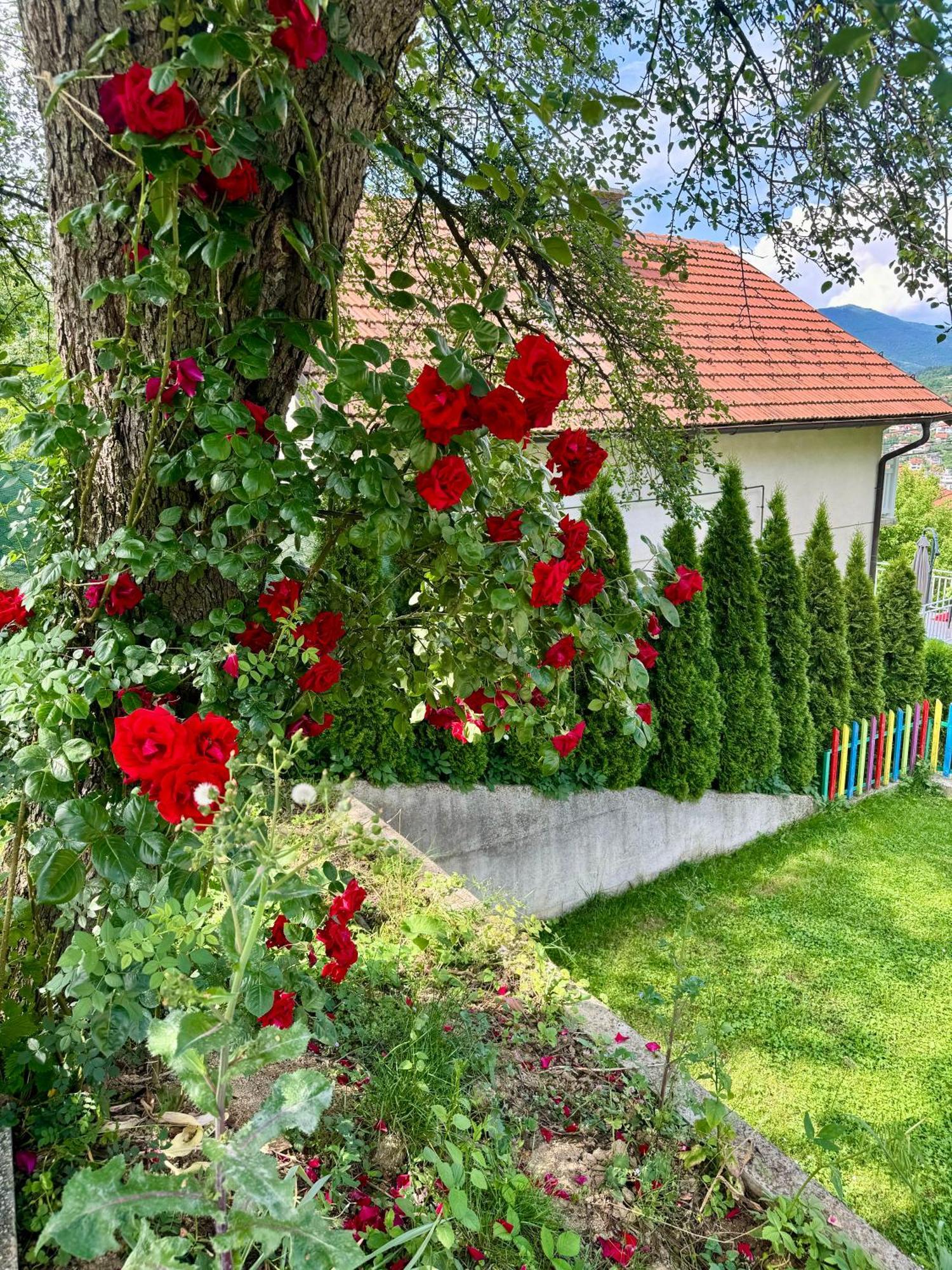 Sarajevo Flower Garden بيت للعطل